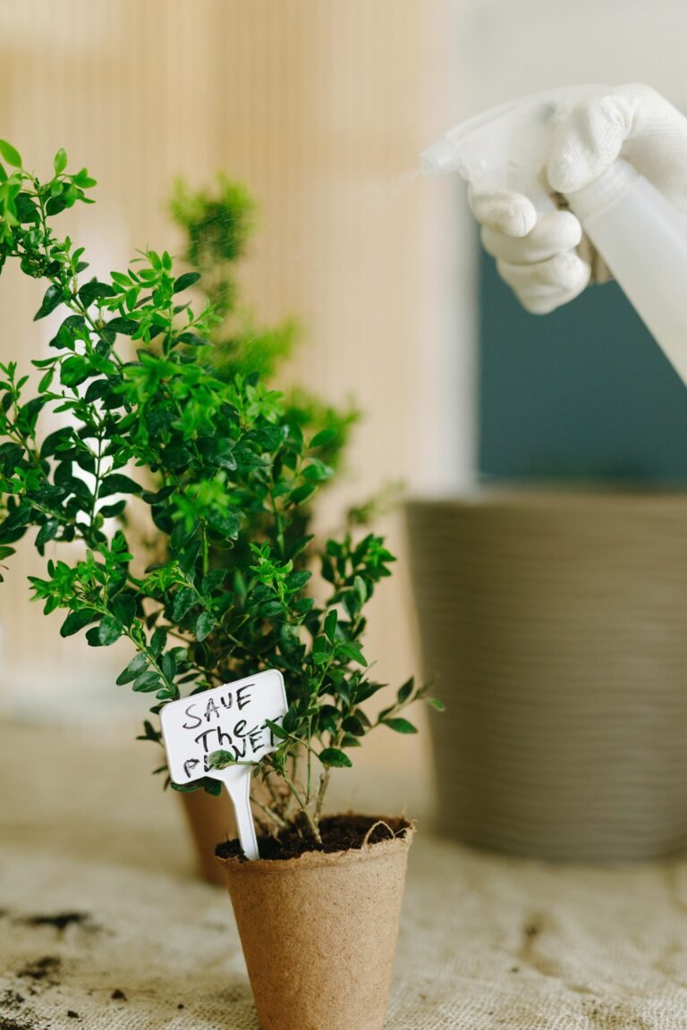 Fresh Herbs on Your Windowsill: A Guide to Indoor Herb Gardening for Apartment Dwellers