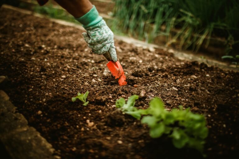 Top 10 Raised Garden Beds for Tiny Spaces: Cultivate YourUrban Oasis