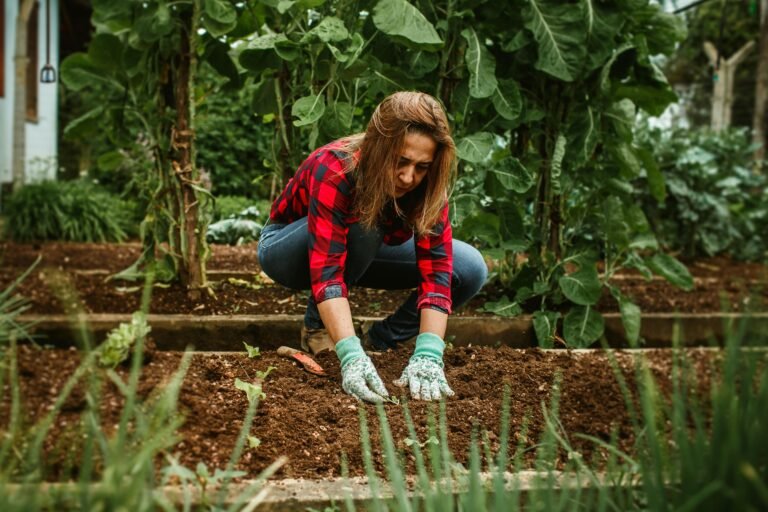 The Secret Weapon of Thriving Backyard Gardens